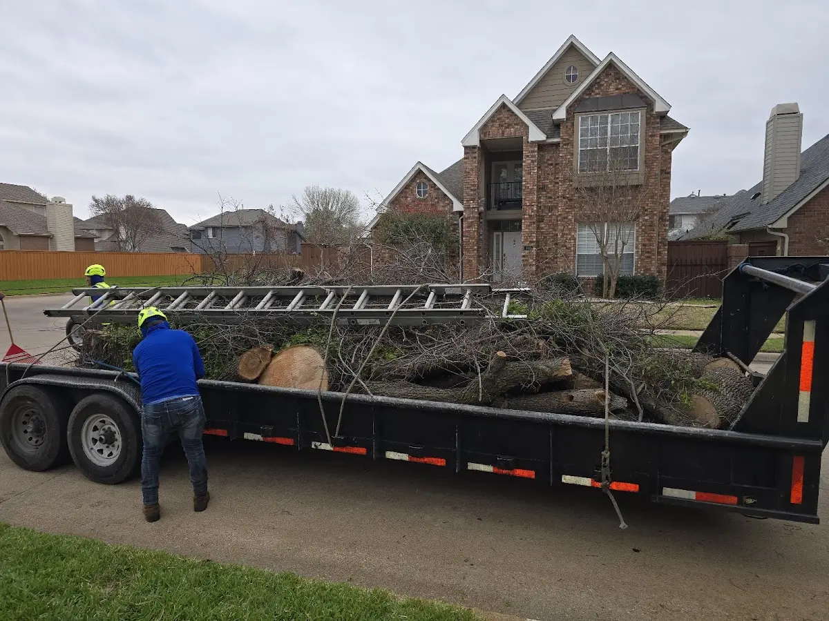 Expert Tree Fertilization with proper safety equipment in Williamson